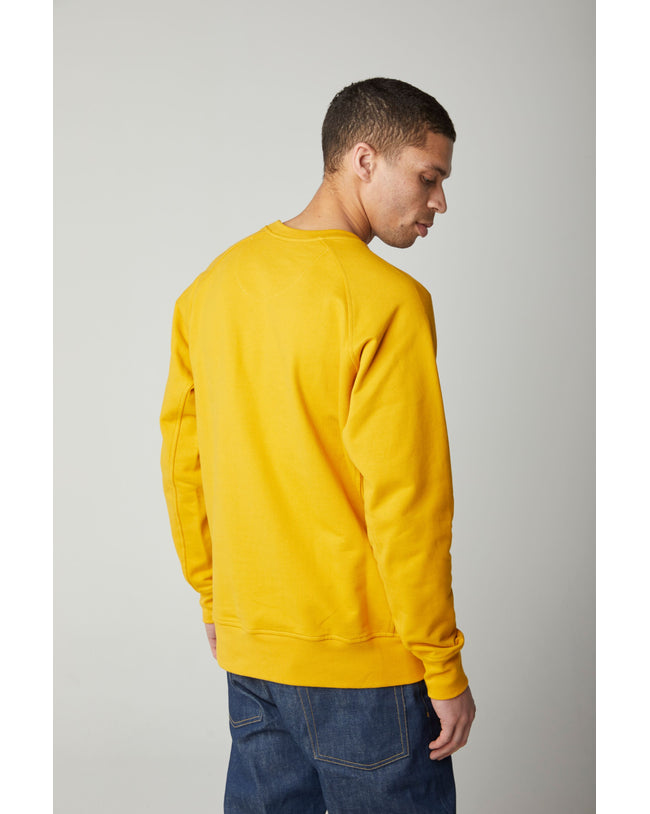 Image of model wearing Classic Sweatshirt. Model is 6ft, chest size 36in and wearing size Large