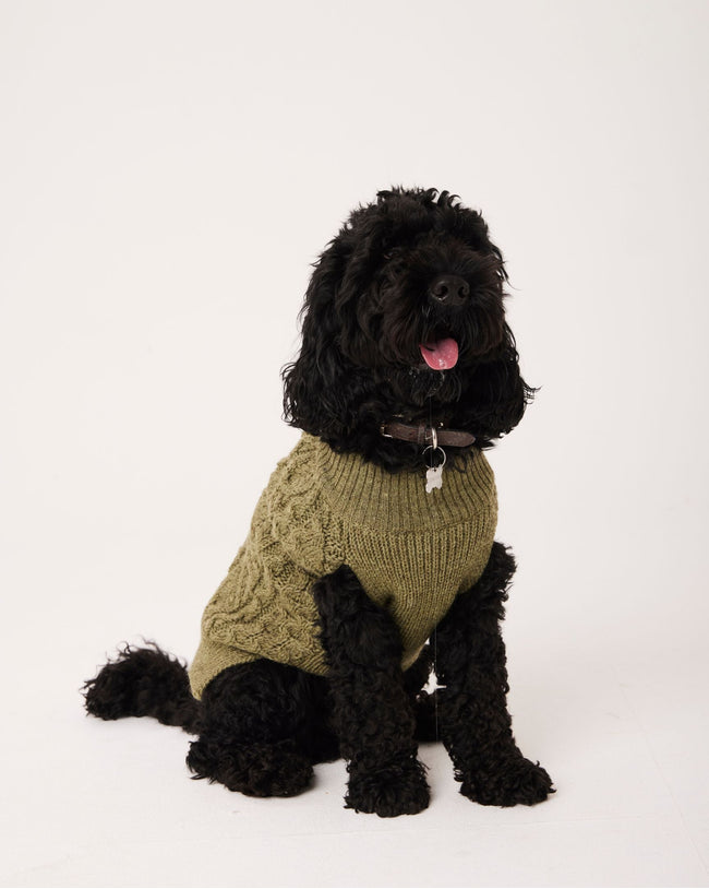 Houndson Aran Dog Jumper