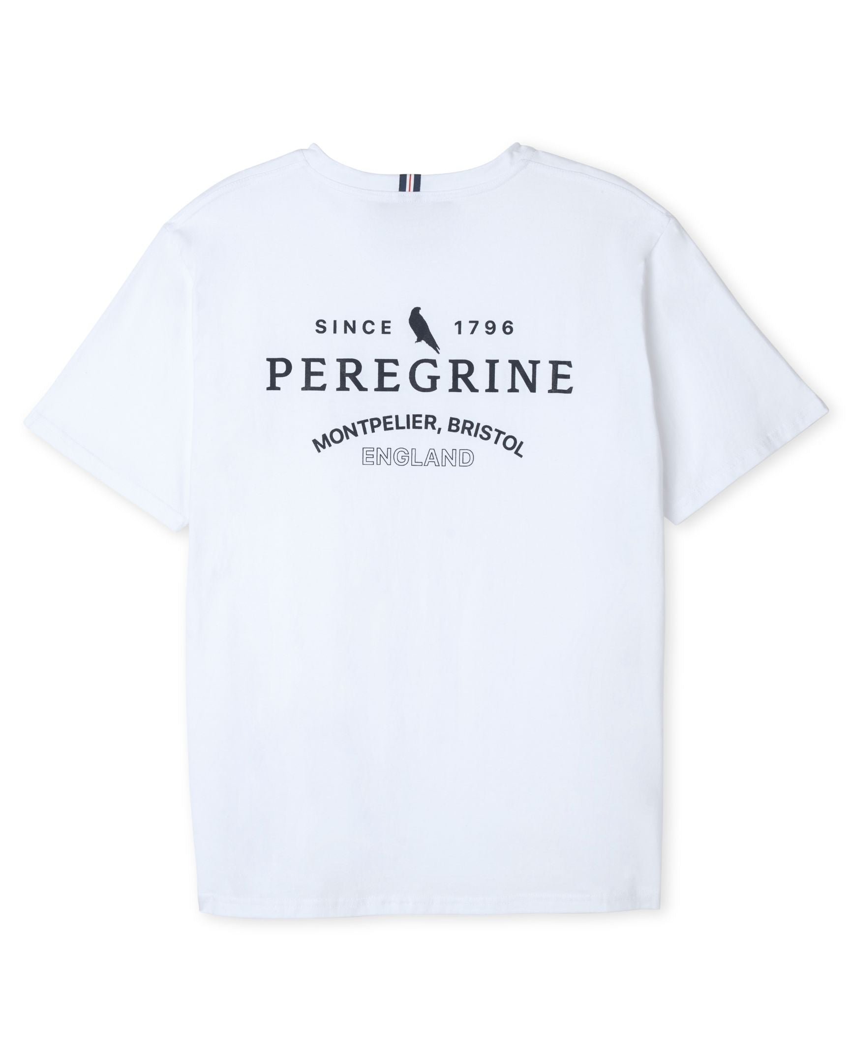 Image of model wearing Peregrine Graphic T-Shirt. 